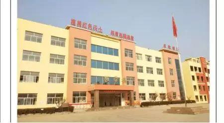 青岛嘉峪关学校童行途中寒假研学乐享假期