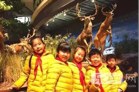 青岛嘉峪关学校童行途中寒假研学乐享假期